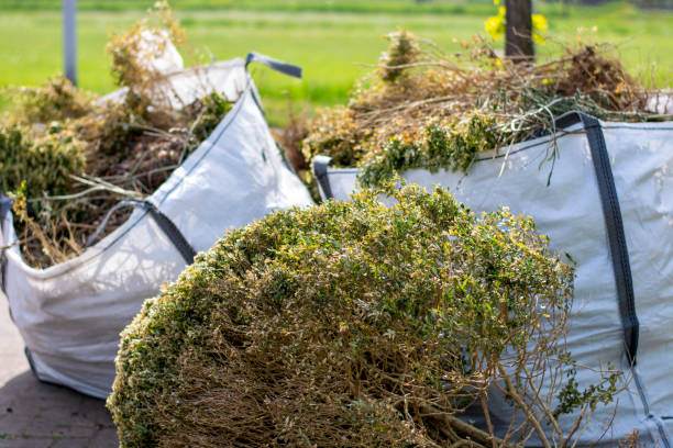 Best Same-Day Junk Removal  in East Sandwich, MA